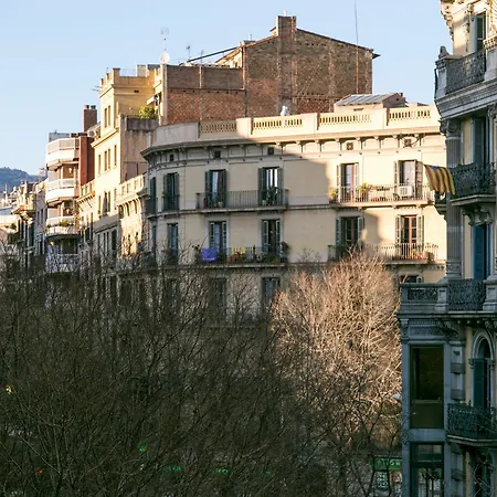 Placa Universitat Barcelona