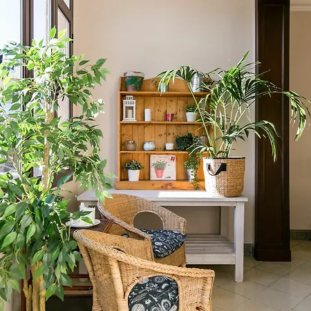 Placa Universitat Appartement *
